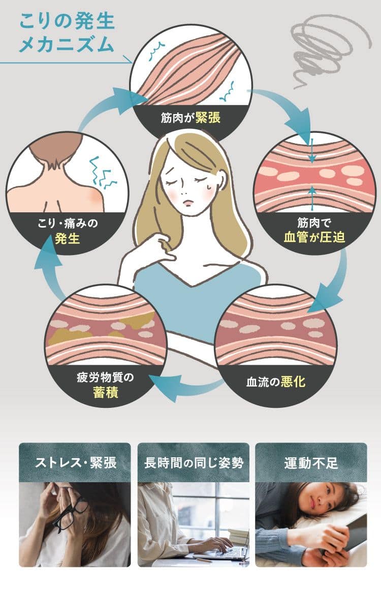 こりの発生メカニズム