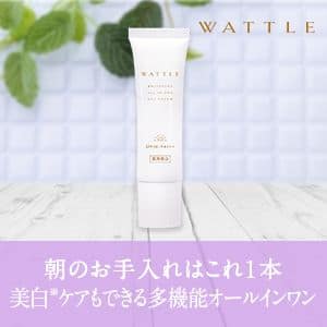 WATTLE朝用オールインワン商品紹介